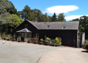 Sheep Dip Cottage - 5* Cyfie Farm, with log burner and private hot tub, Llanfyllin